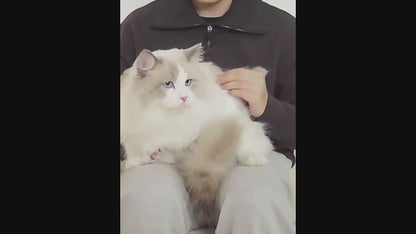 CleanRoll Pro – De krachtigste haar & pluisverwijderaar